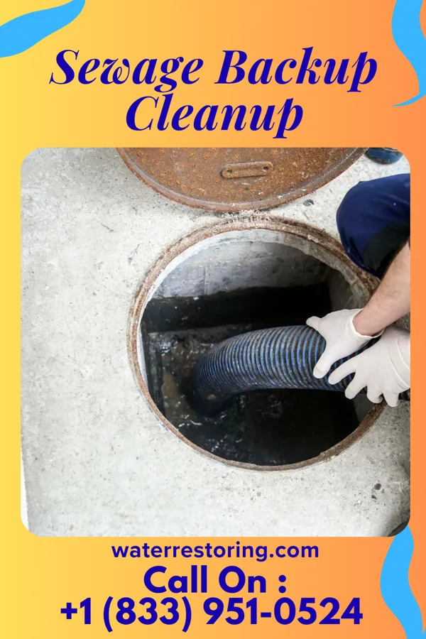 Sewage Backup Cleanup in Ensley, FL